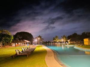 尼甘布Amaluna Resorts的游泳池边的一排椅子