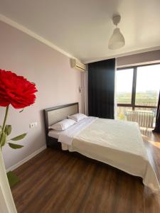 阿拉木图Квартира в центре Алматы的一间卧室,配有一张床和一束红玫瑰花