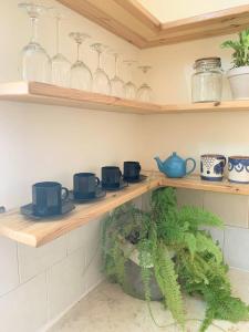 达夫纳O&B Hospitality - אירוח אלף בית的厨房配有带锅碗瓢盆和植物的架子