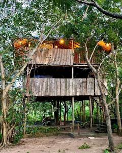 蒂瑟默哈拉默The Saraii Tree Lodge的森林中的一个树屋