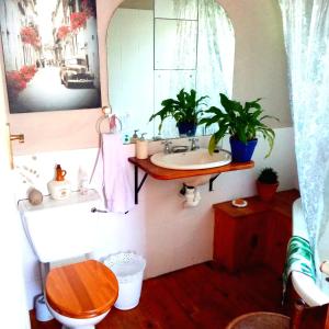 开普敦Lavender Cottage的一间带水槽、卫生间和镜子的浴室