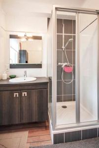 布雷斯特Brest : charmant appartement hypercentre的带淋浴和盥洗盆的浴室