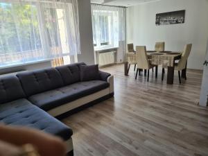 卡尔帕奇Apartament u Maryśki的带沙发的客厅和用餐室