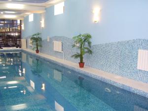 乌斯季卡缅诺戈尔斯克Deluxe SPA-Hotel的一座在建筑中种植两株植物的游泳池