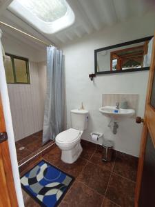 瓜塔维塔Glamping El Refugio的一间带卫生间和水槽的浴室