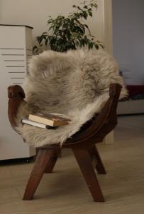 马罗斯蒂卡B&B Diana的一把带毛 ⁇ 座椅的椅子,上面有书