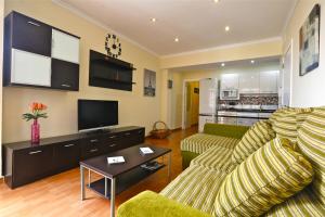 特尔德瓦斯科达伽马公寓的带沙发和电视的客厅