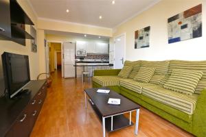 特尔德瓦斯科达伽马公寓的客厅配有绿色沙发和电视