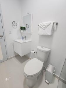 圣胡安Home San Juan的白色的浴室设有卫生间和水槽。