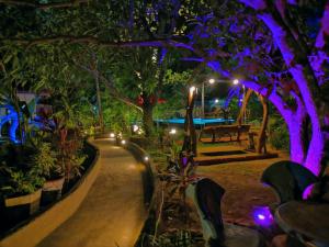哈伯勒内Levona Garden Resort的花园在晚上点燃紫色的灯光