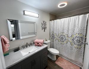 安克雷奇Anchorage midtown apartment-Wyoming 2的一间带水槽、卫生间和淋浴的浴室