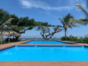 翡翠海岸Mar De Estrellas - Hotel的一座种植了棕榈树和大海的蓝色游泳池