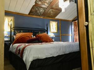 RensburgdorpThe shack life的蓝色卧室内的一张带橙色枕头的床