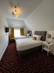 都柏林Tom Dick and Harriet's Accommodation的酒店客房设有两张床和窗户。