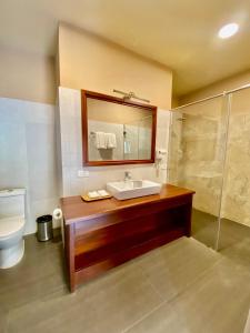 帕罗Taktsang Village Resort的一间带水槽、卫生间和镜子的浴室