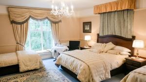 基拉尼Herbert House的一间卧室设有一张床、一个窗户和一个吊灯。