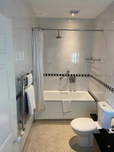 WressellLoftsome Bridge Hotel的带浴缸、卫生间和盥洗盆的浴室