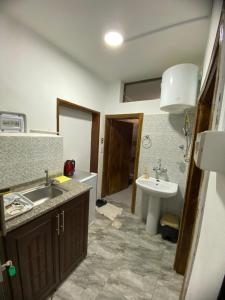 瓦迪穆萨Omar Apartment的浴室配有盥洗盆、卫生间和盥洗盆。