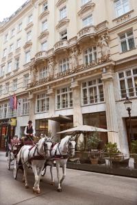 维也纳施泰根博阁庄园酒店的两匹白马在建筑物前拉马