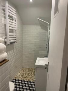 萨利耶德贝阿尔恩Appartement hors du commun avec son jacuzzi的一间带水槽和卫生间的小浴室