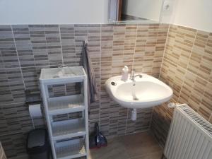 博加奇Total Relax Apartmanház的浴室配有盥洗盆、镜子和盥洗盆