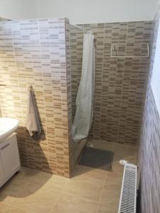 博加奇Total Relax Apartmanház的带淋浴、卫生间和盥洗盆的浴室