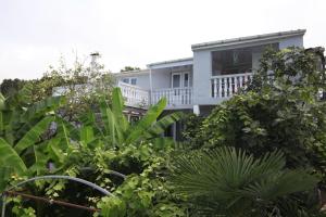 查克维Hitas house的带阳台和植物的白色房屋