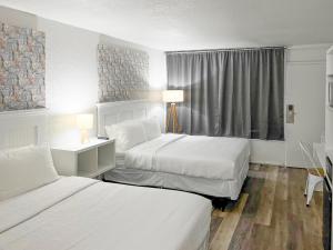 萨凡纳Oneway Savannah的酒店客房设有两张床和窗户。