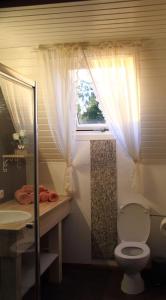 HorebekeB&B Adem的一间带卫生间和窗户的浴室