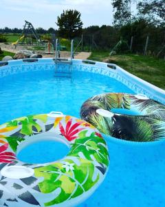 叶尔加瓦Zeltāres的一个带五颜六色泳池玩具的游泳池