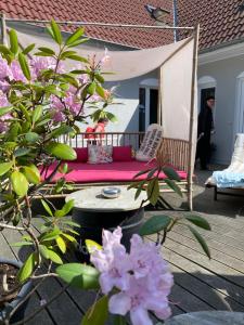奥斯赛拜-屈隆斯博恩feels Beach Club Hotel的一个带沙发的门廊,位于一个布满粉红色花卉的甲板上