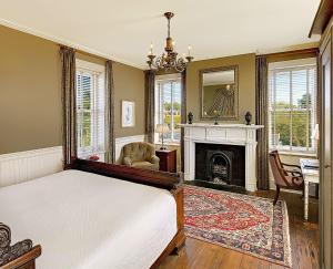 查尔斯顿温特沃斯大厦酒店的一间卧室配有一张床和一个壁炉