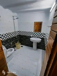 伊斯兰堡Galaxy Lodge的一间带卫生间和水槽的浴室