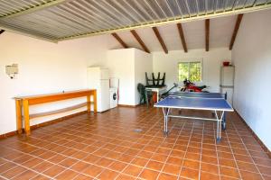阿尔戈多纳莱斯Casa Rural Los Niños的一间设有乒乓球桌的房间