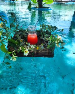 卡诺格布拉达Anacardium的水中的一个篮子里的一杯果汁