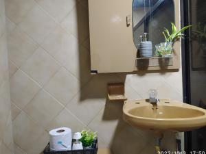 布埃纳文图拉Villa Juliana的一间带水槽和镜子的浴室