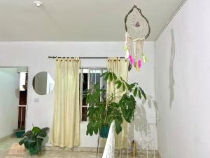 VijesLa Casa Hostal De Vijes的窗户房间里的一种植物