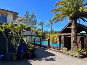 安特兰斯Central Jetty Motel的棕榈树和游泳池的房子