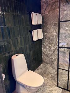 艾尔夫达伦流域酒店的浴室设有卫生间和带毛巾的淋浴。
