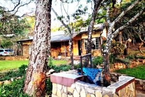JuliasdaleRemarkable 3-Bed Cottage in Nyanga的两棵树旁的石凳房子