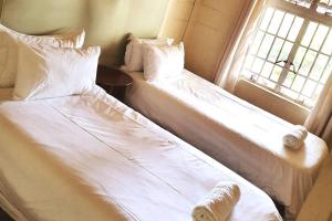 JuliasdaleRemarkable 3-Bed Cottage in Nyanga的卧室的窗户旁设有两张床