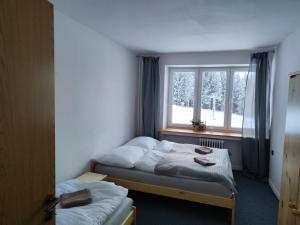 迪马诺卡多林纳Chata - Dom Horskej služby Jasna的一间卧室设有两张床和窗户。