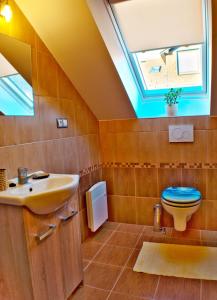 米托博德杜比荣Ubytovanie Ahoj v prírode的浴室配有水槽和带天窗的卫生间。