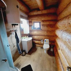 普列维扎Kanadský zrub的小木屋内的浴室设有卫生间和水槽