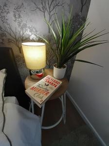 蒂斯河畔斯托克顿Hardwick Haven, Sedgefield - Near Hardwick Hall的一张桌子上放着一盏灯和一棵盆植物