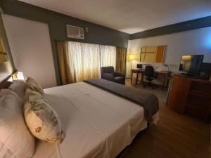 圣保罗Flat Borges Lagoa Ibirapuera c/ garagem UH508的酒店客房设有一张大床和一张书桌。