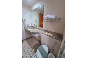 圣保罗Flat Borges Lagoa Ibirapuera c/ garagem UH508的一间带卫生间、水槽和镜子的浴室