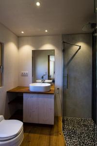 Pill格拉芬纳斯特酒店的一间带水槽、卫生间和淋浴的浴室