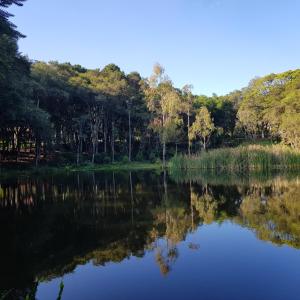 南蒂茹卡斯Cabana Rústica - Sitio Kayalami的享有背景树木的湖泊美景