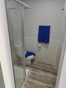 英格兰海滩澳大利亚公寓式酒店的带淋浴和蓝色毛巾卫生间的浴室